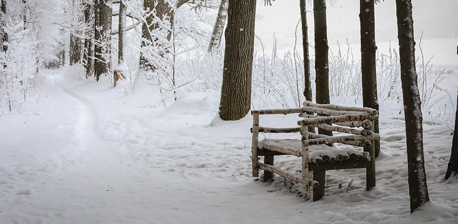Любимая скамейка зимой